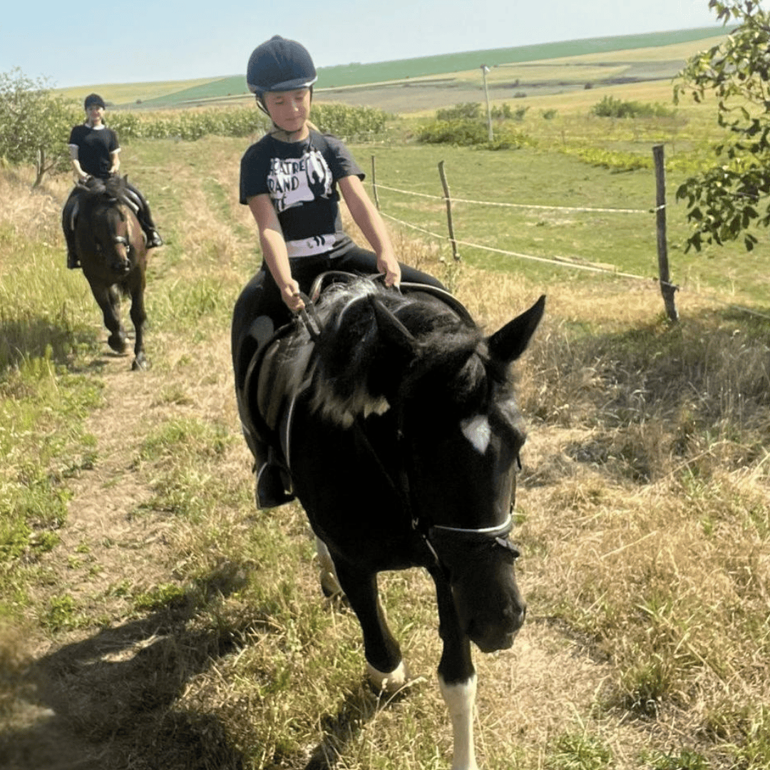 Hipara echitatie aiton cluj natura