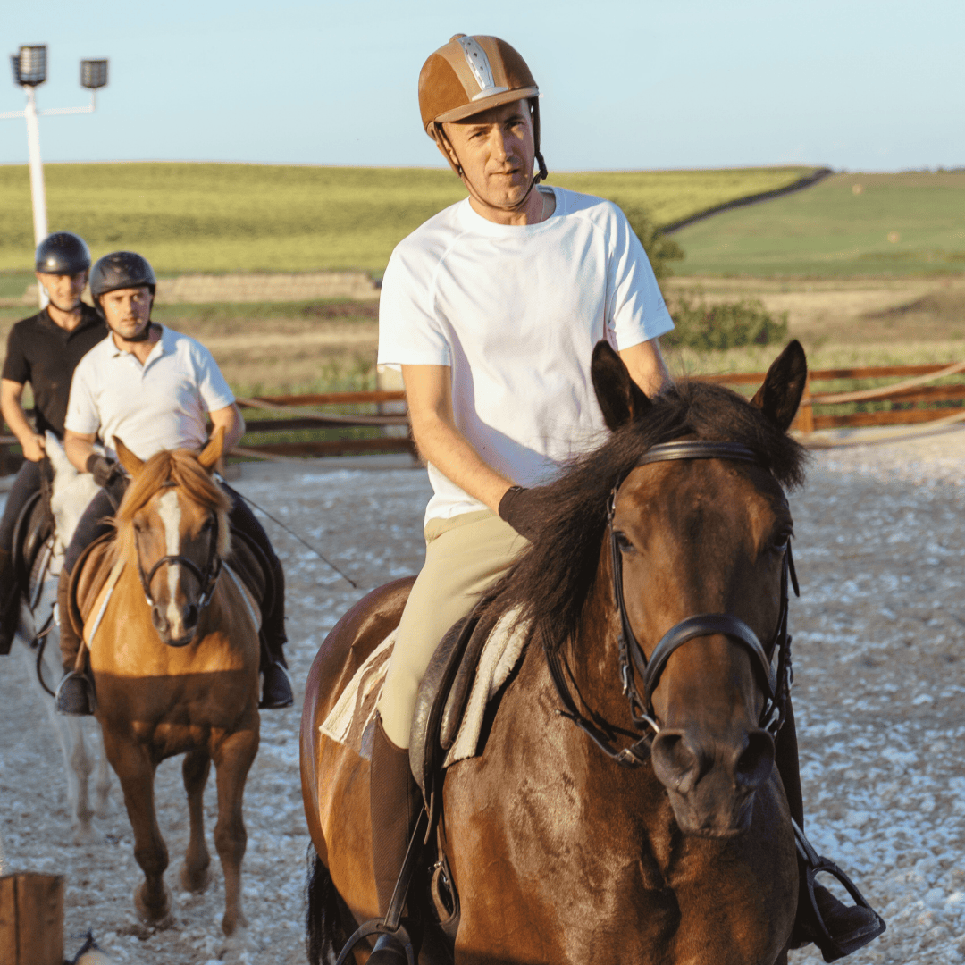 Hipara lectii echitatie aiton cluj