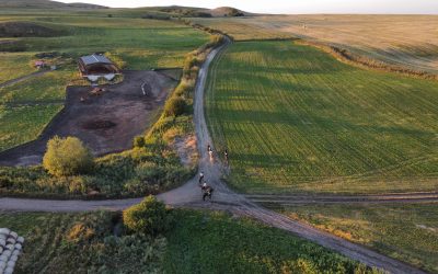 Cum se schimbă anduranța ecvestră: tendințele care modelează următorul deceniu