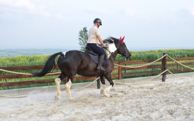 Motive (reale) pentru care călăreții întârzie la birou