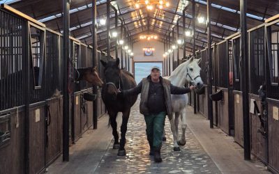 Caii nu mint. Dar ce faci când nimeni nu-i ascultă?