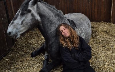 Au ales prețul și-au cumpărat stresul