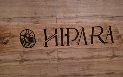 Tăcerea care îi face pe proprietarii de cai să intre în panică